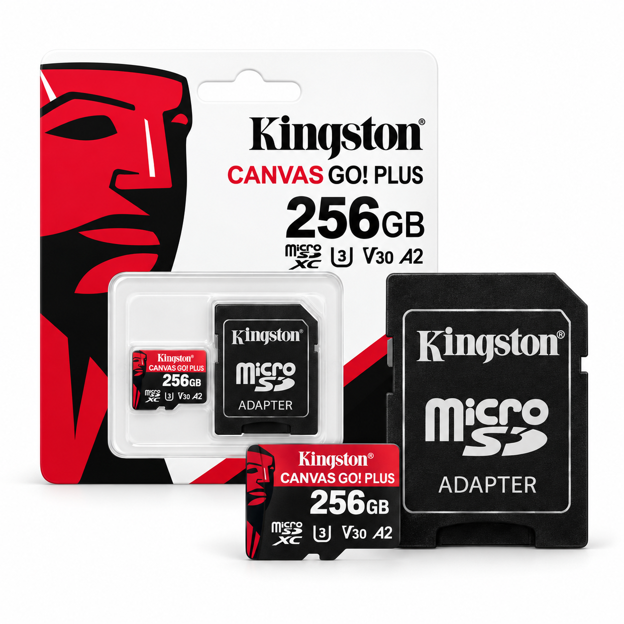 Kingston Canvas Go! Plus microSDXC 256GB